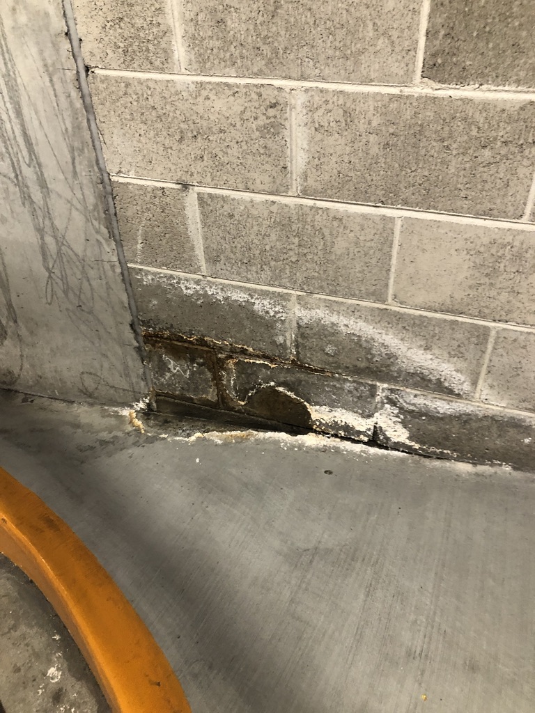 Professional leak detection equipment can detect water leaks behind walls.