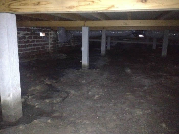 Professional leak detection equipment can detect water leaks behind walls.