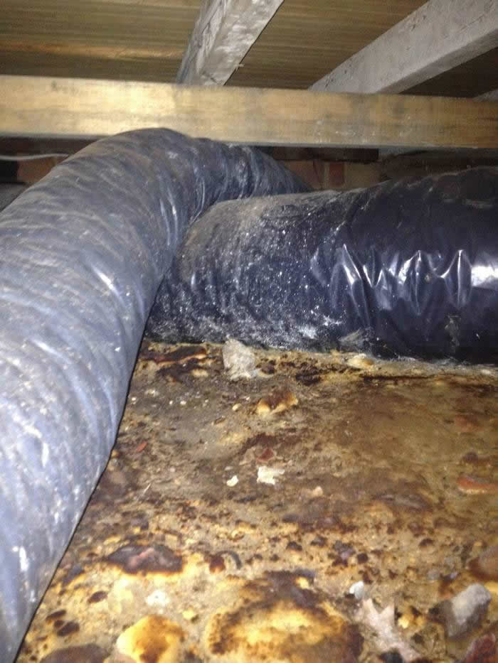 Rising damp can be a structural issue